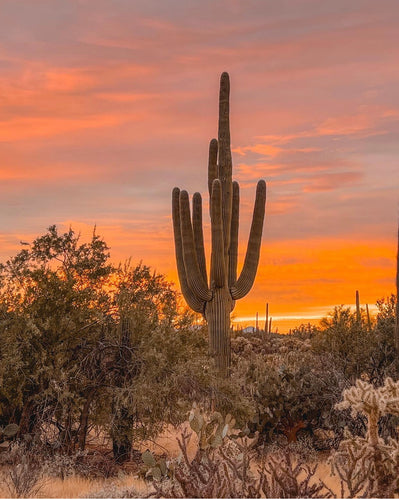 Craving exotic sunsets?