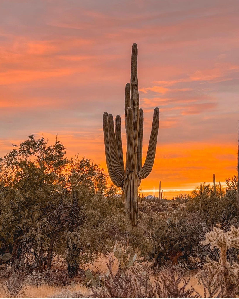 Craving exotic sunsets?