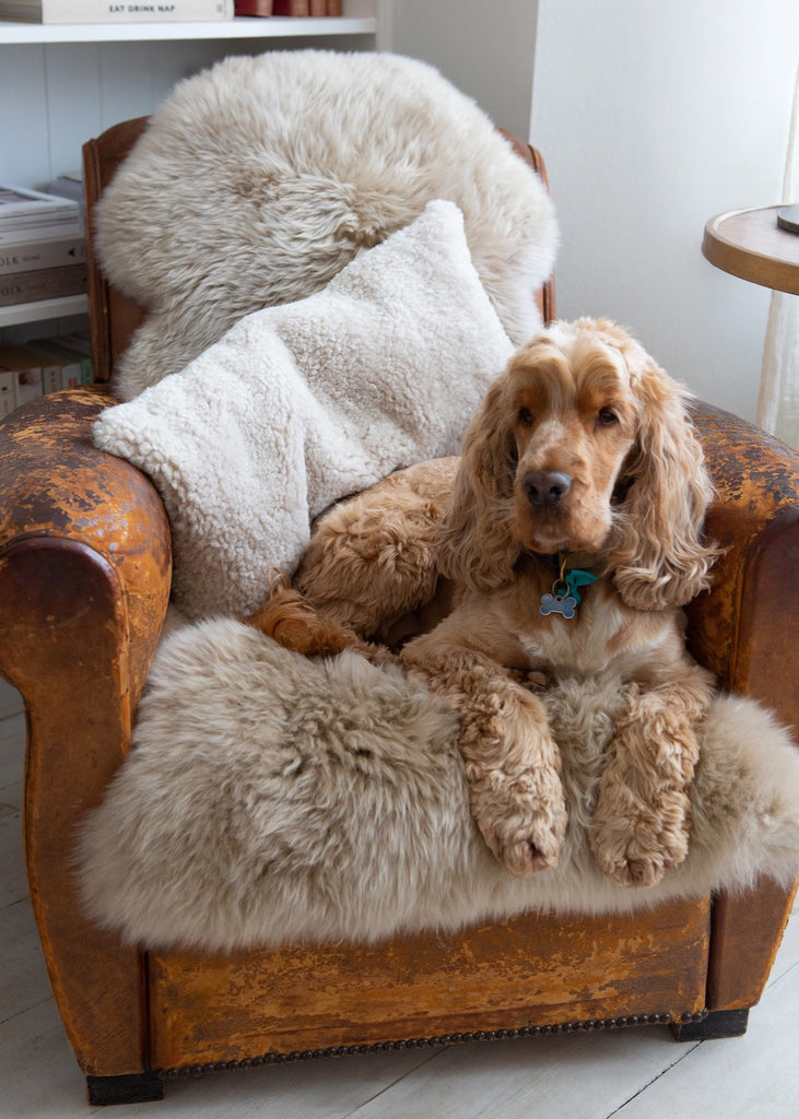 My ultimate home styling secret