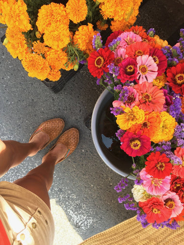 Slow living in France... | The Small Home