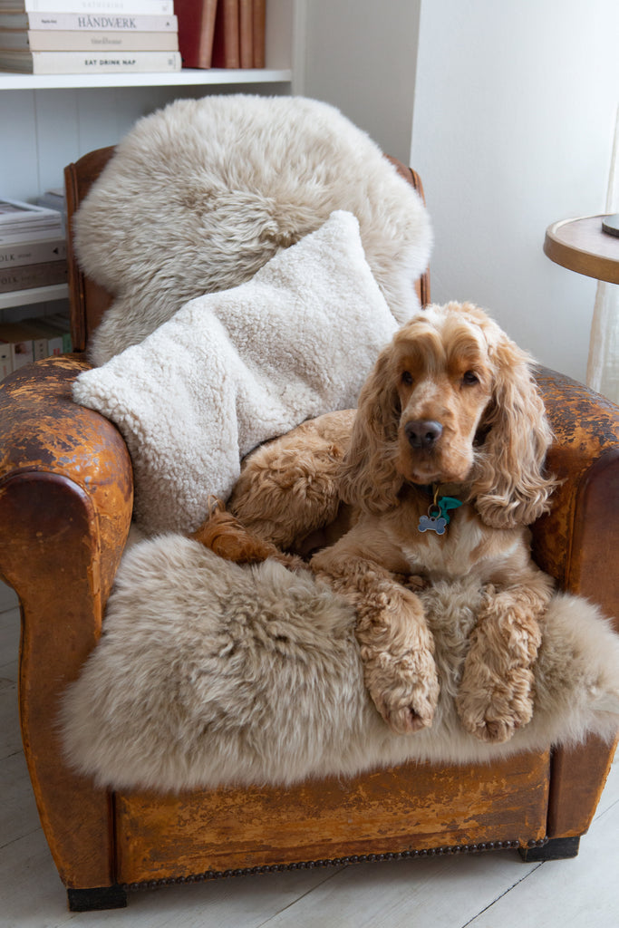 Sheepskin Cushion styled on armchair
