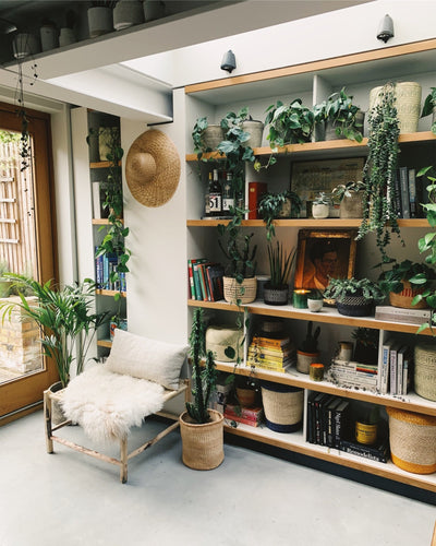 Our guide to the best #Shelfie | The Small Home
