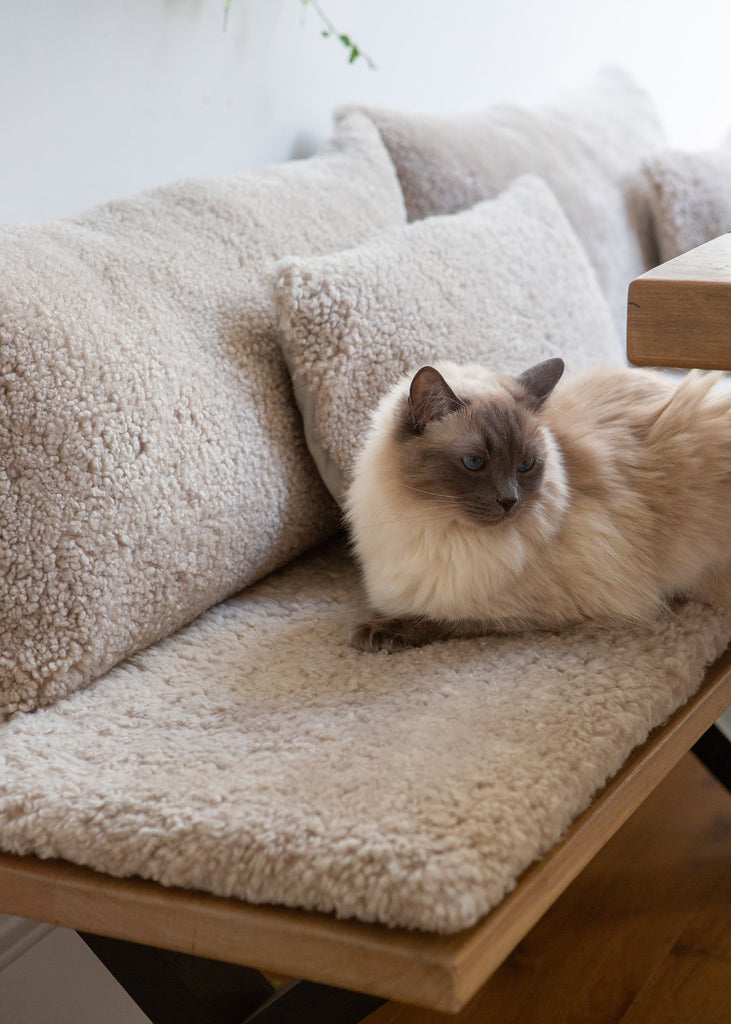 A Year On | How Sheepskin Softens a Kitchen Banquette