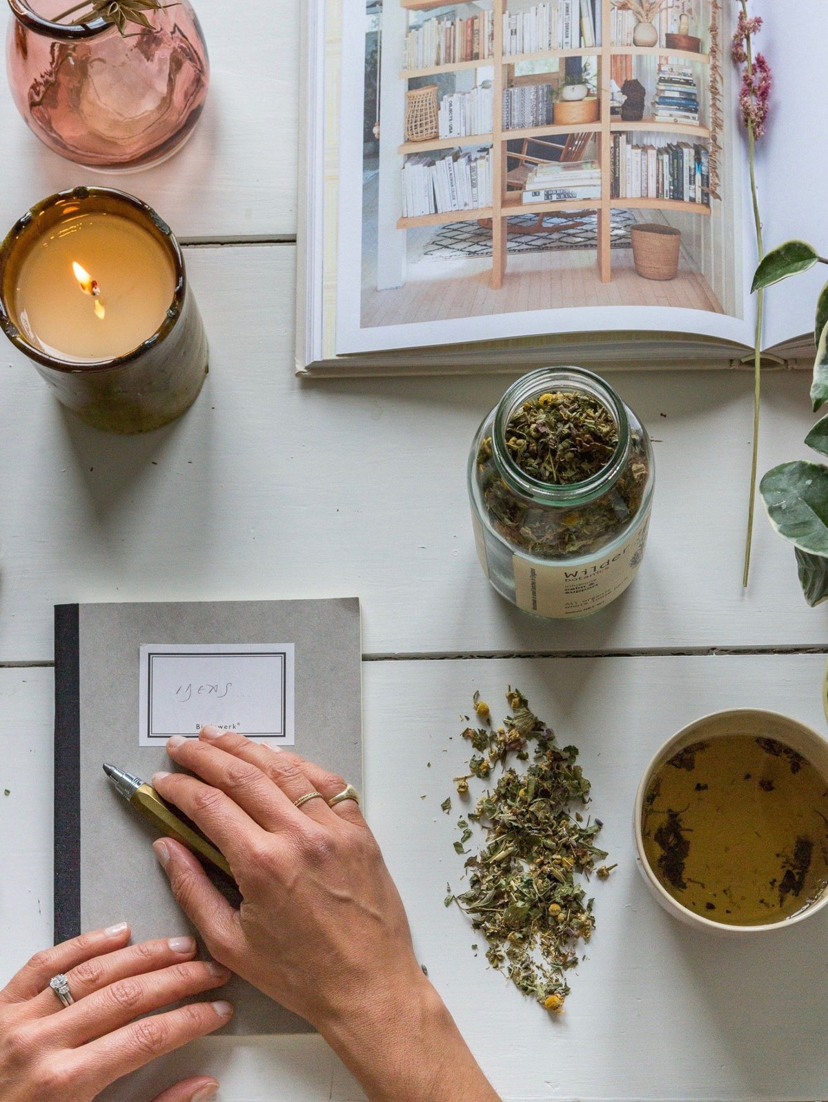 Wilder Botanics | Calm & Support Tea Infusion