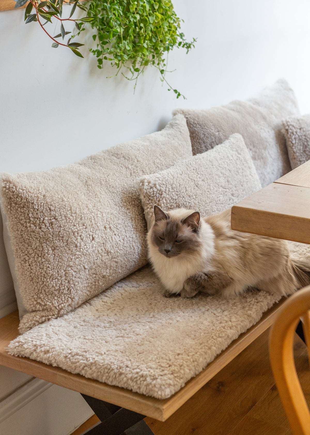 Short-Hair Rectange Sheepskin Cushion - Oatmeal