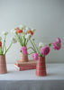 pink vases