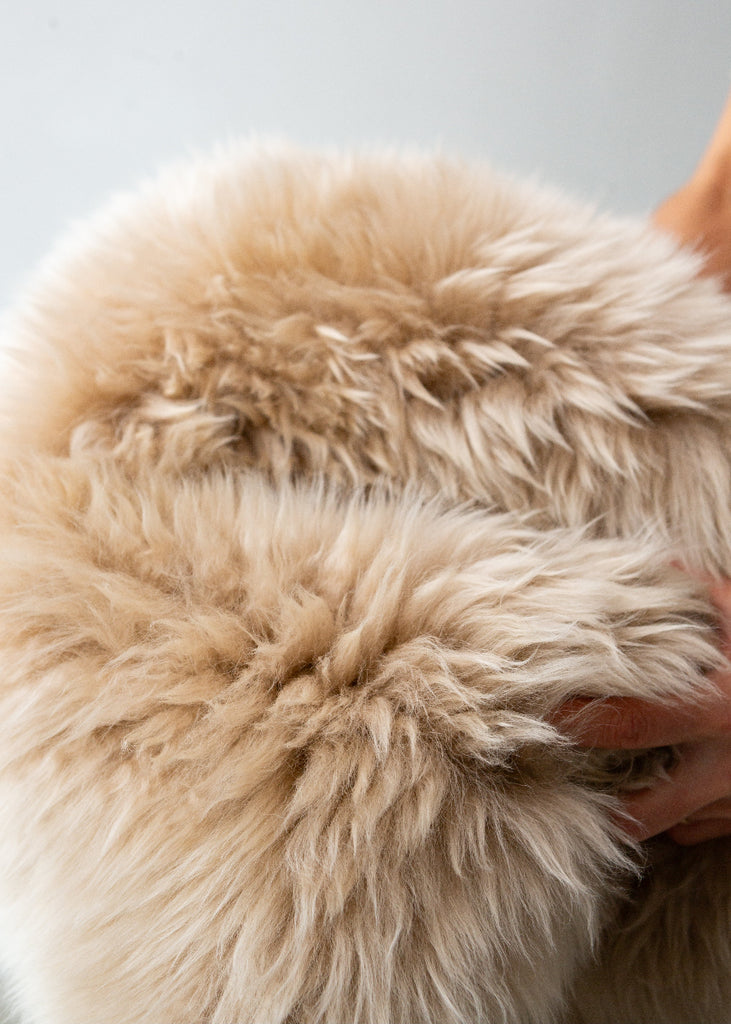 Close-up of a fluffy beige object, possibly a toy or cushion, against a neutral background.