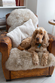 Sheepskin Cushion styled on armchair