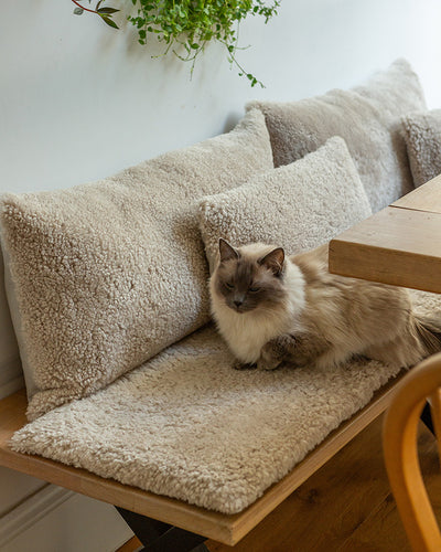 BENCH PADS