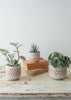 Rebecca Woods - Triangle Planters - The Small Home