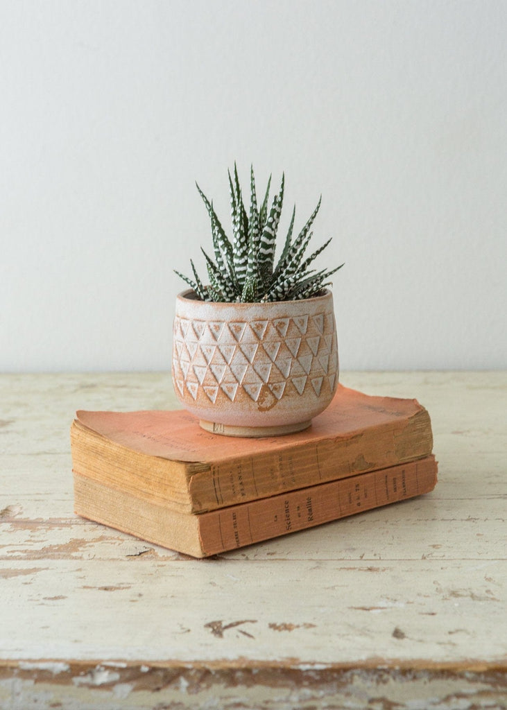 Rebecca Woods - Triangle Planters - The Small Home